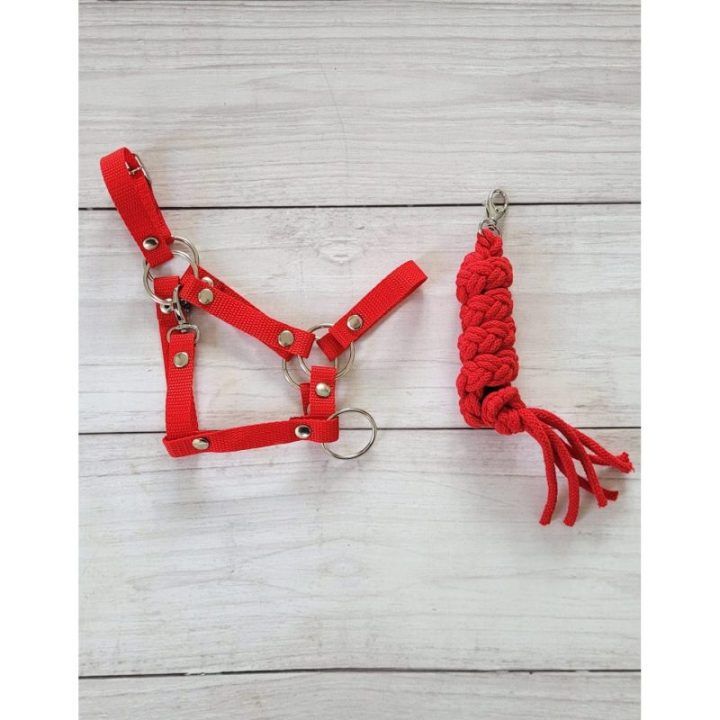 Hobby Horse apynasris A3 su virvele, raudonas