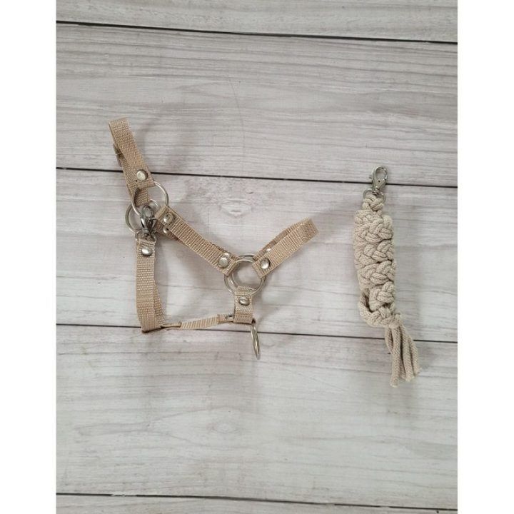 Halteris ir pavadėlis Hobby Horse A3, smėlio spalvos