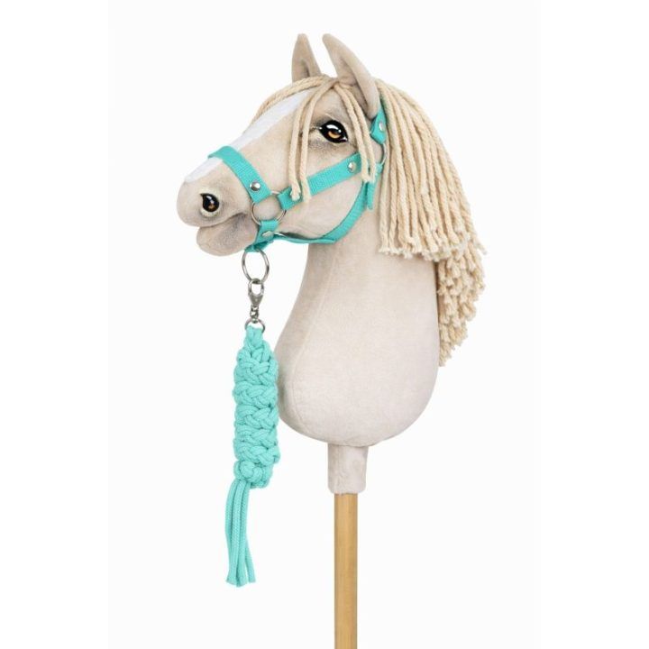 A3 dydžio hobby horse kamanų ir pavadėlio rinkinys, mėtų spalvos