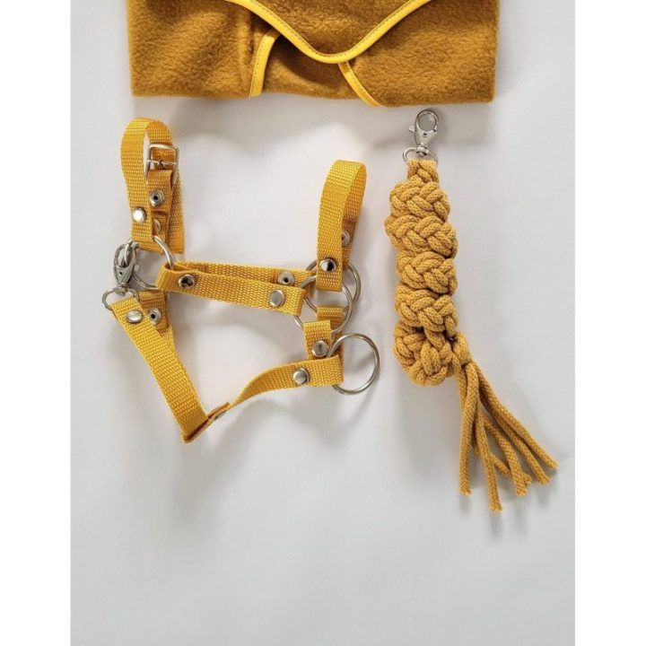 Halteris ir pavadėlis Hobby Horse A3, medaus geltonos spalvos