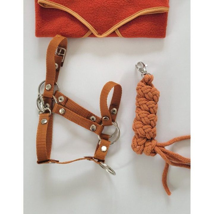 Halterio ir vedimo pavadėlio rinkinys Hobby Horse – imbiero spalvos
