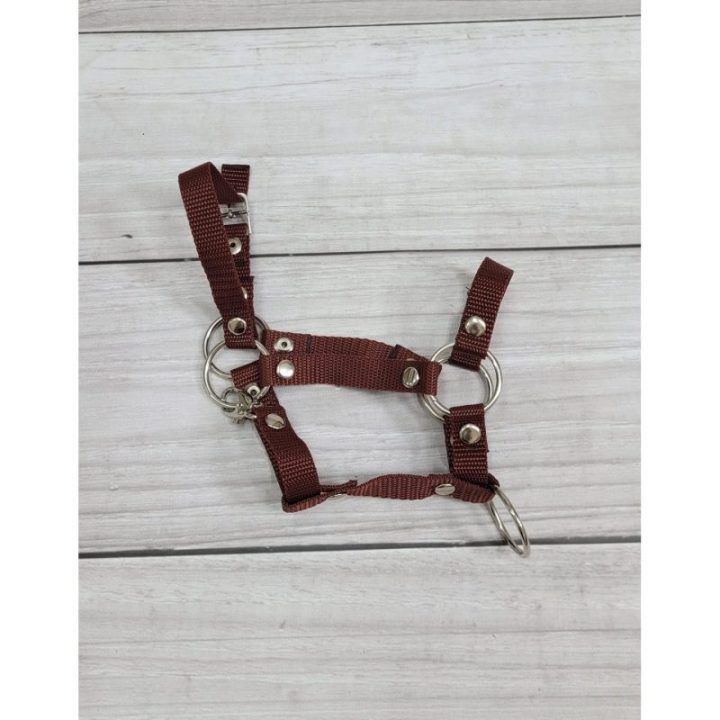 Hobby Horse kamanų rinkinys A3 su pavadėliu, rudas