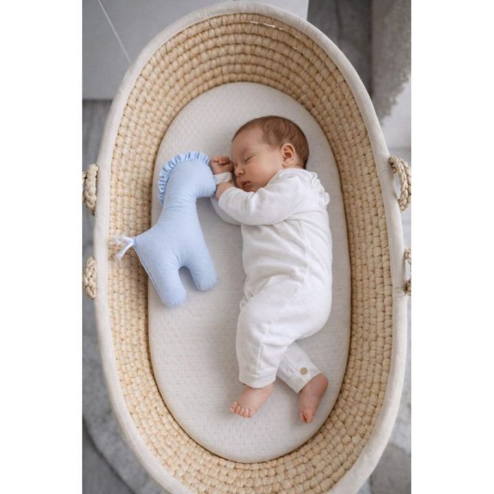 Minkštas pirmasis žaislas arkliukas LUCKY Blue