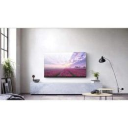 TECHLY sieninis TV laikiklis LED/LCD 23–55" iki 50 kg, plonas