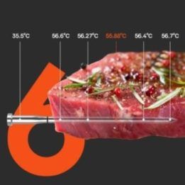 Bluetooth mėsos termometras Meatmeet S Pro, pilkas
