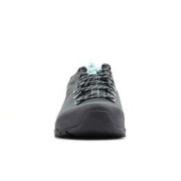 Vyriški sportiniai batai Salomon X Alp Spry GORE-TEX