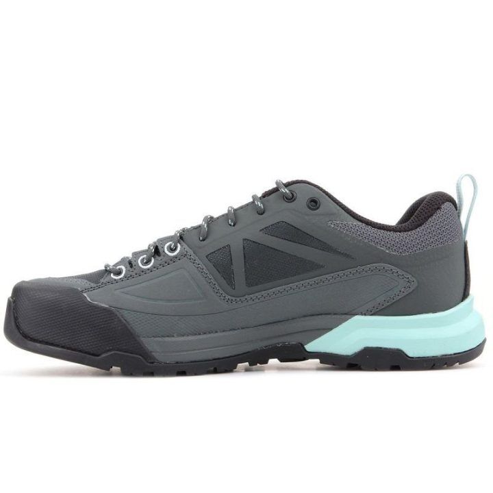 Vyriški sportiniai batai Salomon X Alp Spry GORE-TEX