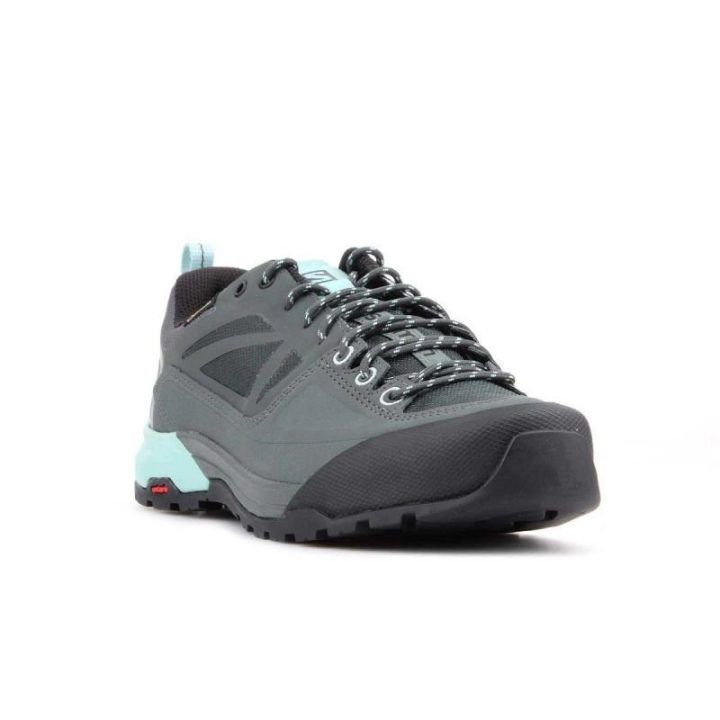 Vyriški sportiniai batai Salomon X Alp Spry GORE-TEX