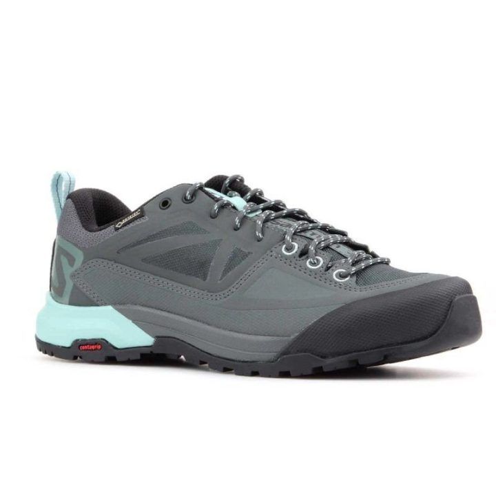 Vyriški sportiniai batai Salomon X Alp Spry GORE-TEX