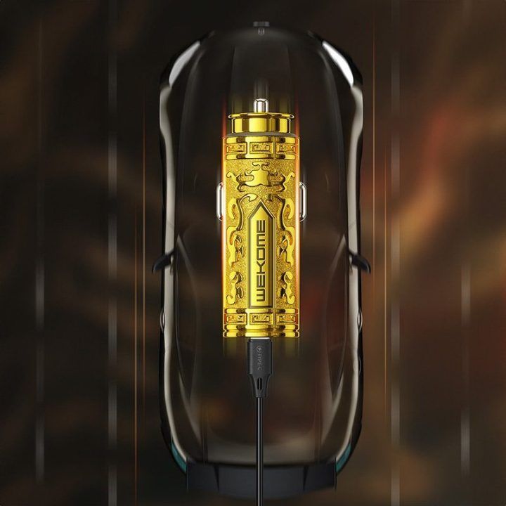 WEKOME WP-C37 Sakin Series įkroviklis automobiliui, auksinis
