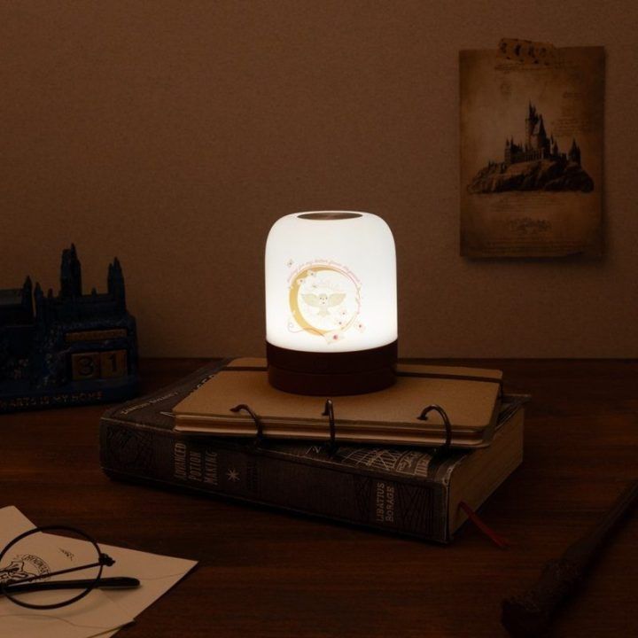 Belaidė LED naktinė lempa Harry Potter, ABS ir PP
