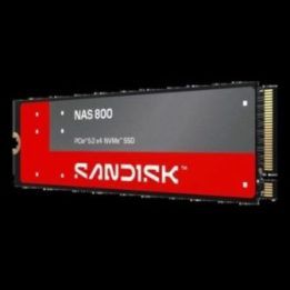 M.2 SSD diskas SanDisk NAS 800 NVMe, 960 GB
