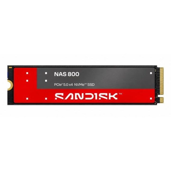 M.2 SSD diskas SanDisk NAS 800 NVMe, 960 GB