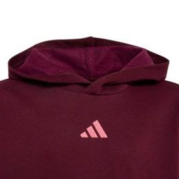 Vaikiškas džemperis su gobtuvu adidas Essentials, bordo
