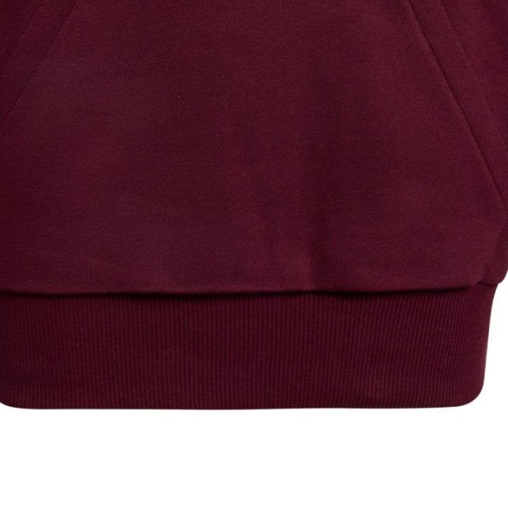 Vaikiškas džemperis su gobtuvu adidas Essentials, bordo