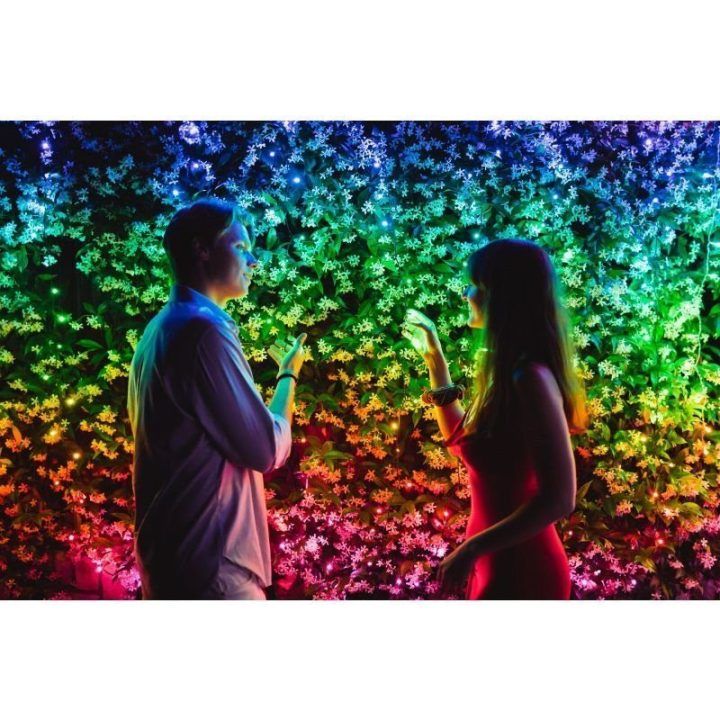 Išmanioji kalėdinė girlianda Twinkly, 250 RGB, 20 m, įvairiaspalvė