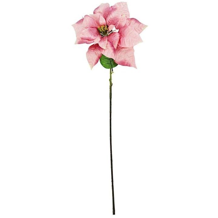 Kalėdinė puansetija, 30 cm, rožinė