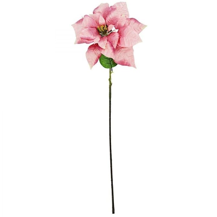 Kalėdinė puansetija, 30 cm, rožinė