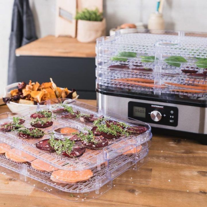 Maisto džiovyklė Gastroback Design Natural Plus, 250 W