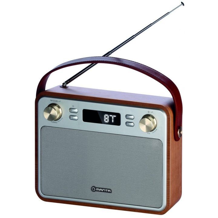 Radijas su Bluetooth, USB ir FM imtuvu Manta Capri, rudas / sidabro spalvos
