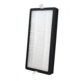 Oro valytuvo HEPA filtras AP-DT10WT / AP-DT10WTAR HoMedics AP-DT10FLR, 1 vnt