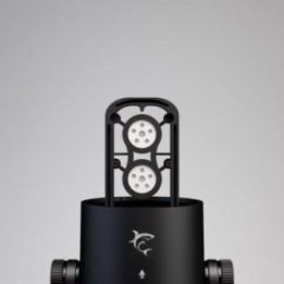 USB mikrofonas su dviem kondensatorinėmis kapsulėmis White Shark DSM-02 Nagara