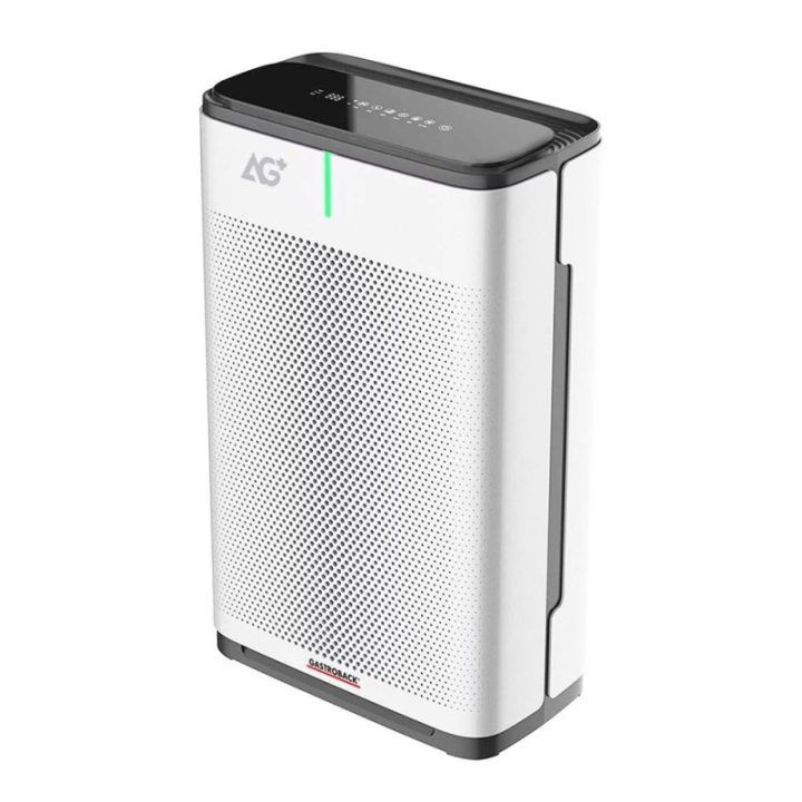 Oro valytuvas su AG+ filtru Gastroback AirProtect, 95 W