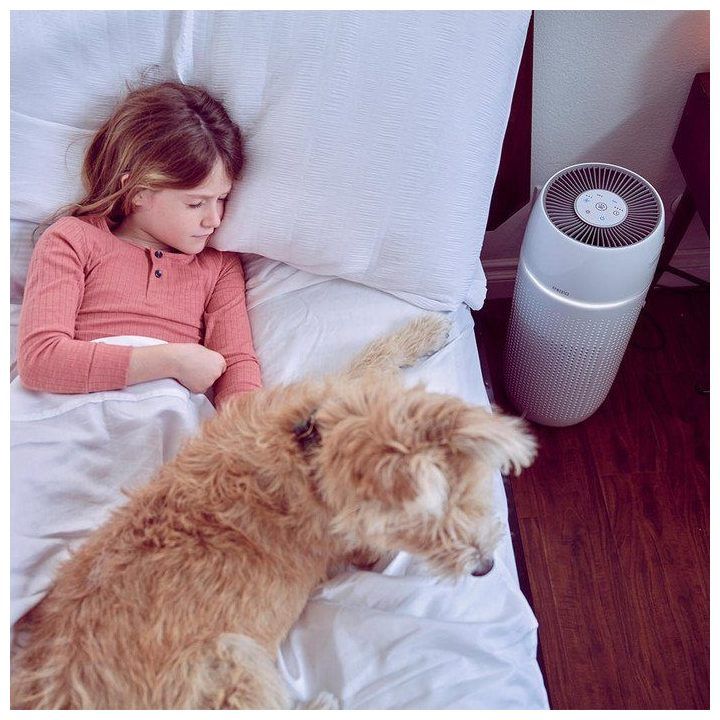 Oro valytuvas su HEPA filtru Homedics TotalClean PetPlus, 5 viename