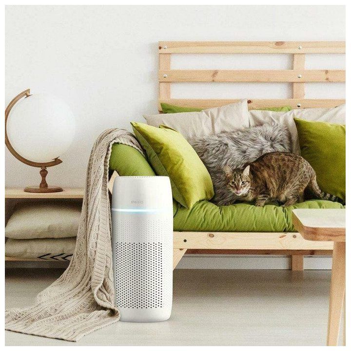 Oro valytuvas su HEPA filtru Homedics TotalClean PetPlus, 5 viename