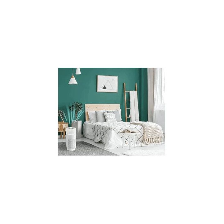 Oro valytuvas su HEPA filtru Homedics TotalClean PetPlus, 5 viename