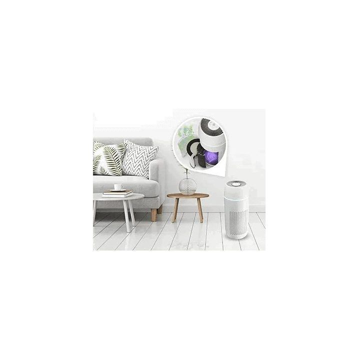 Oro valytuvas su HEPA filtru Homedics TotalClean PetPlus, 5 viename
