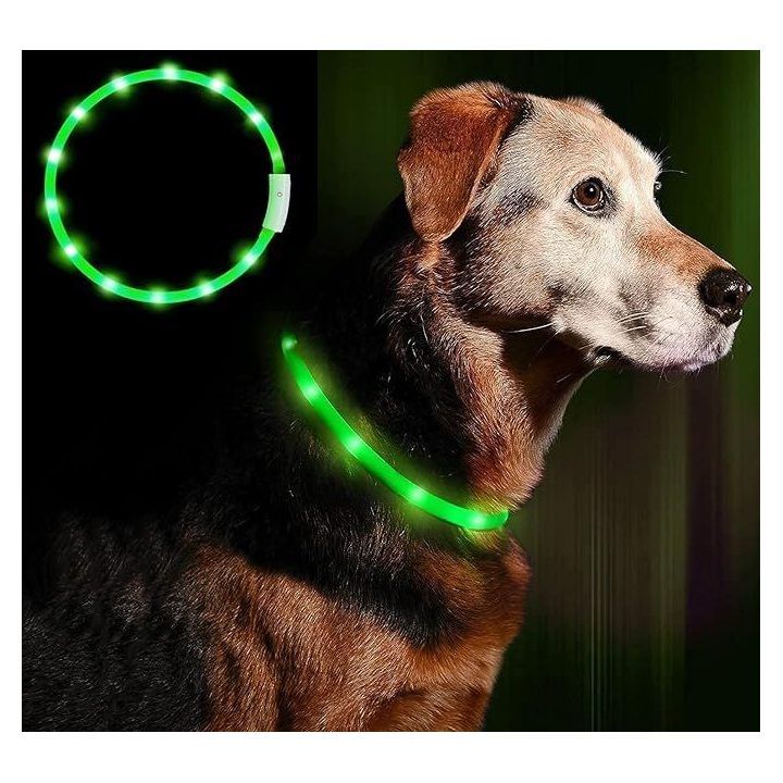 LED antkaklis šunims ir katėms su keturiais šviesos režimais Anicoll, žalias