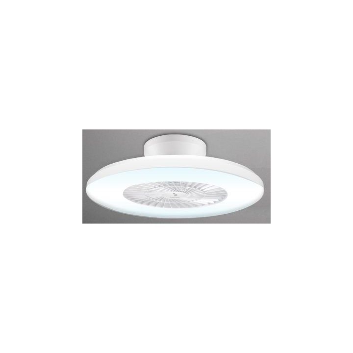 Lubų ventiliatorius su pritemdomu LED apšvietimu Beper P206VEN650, 40 W, 60 cm