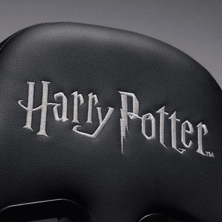 Žaidimų kėdė su Harry Potter Slytherin motyvu Subsonic