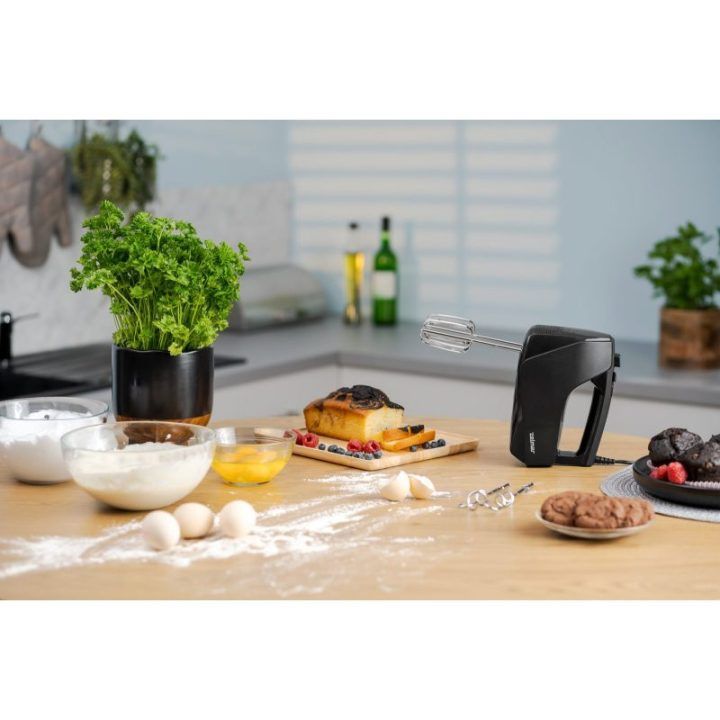Rankinis plaktuvas Zelmer ZHM2551, 750 W