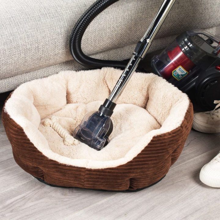 Dulkių siurblys be maišelio su plaunamu HEPA filtru Beldray Compact Pet Plus, 700 W, 2 l