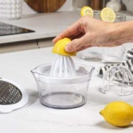 4 funkcijų citrusinių vaisių sulčiaspaudė Salter