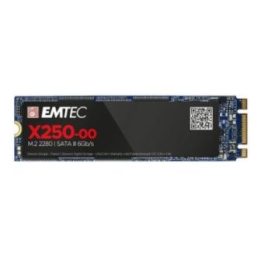 M.2 SATA SSD diskas Emtec X250 Power Plus, 256 GB