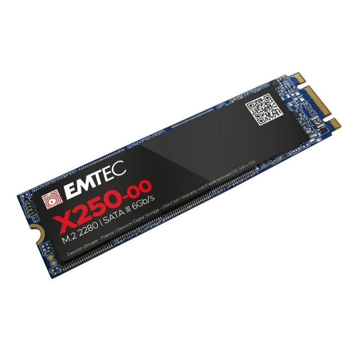 M.2 SATA SSD diskas Emtec X250 Power Plus, 256 GB