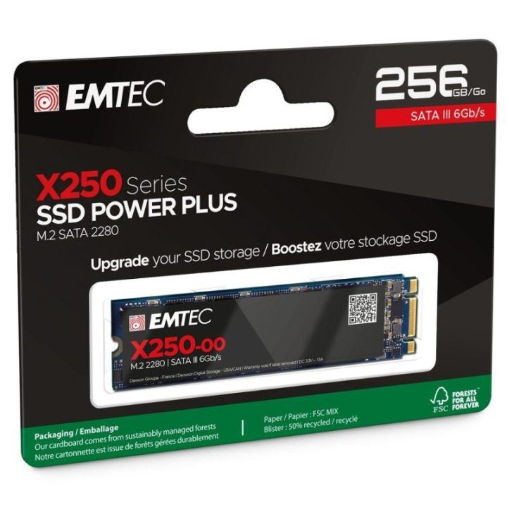 M.2 SATA SSD diskas Emtec X250 Power Plus, 256 GB