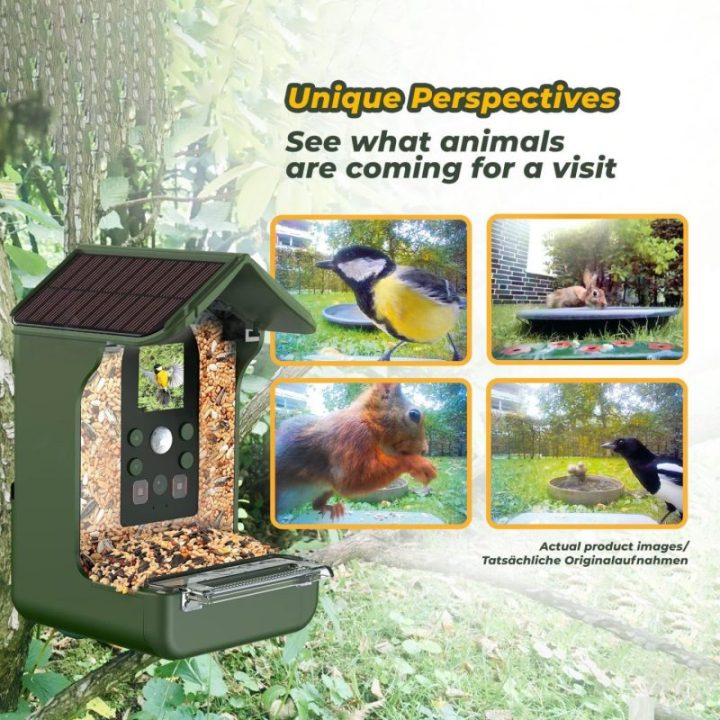 Paukščių lesyklėlė-kamera su judesio aptikimu Easypix BirdyCam