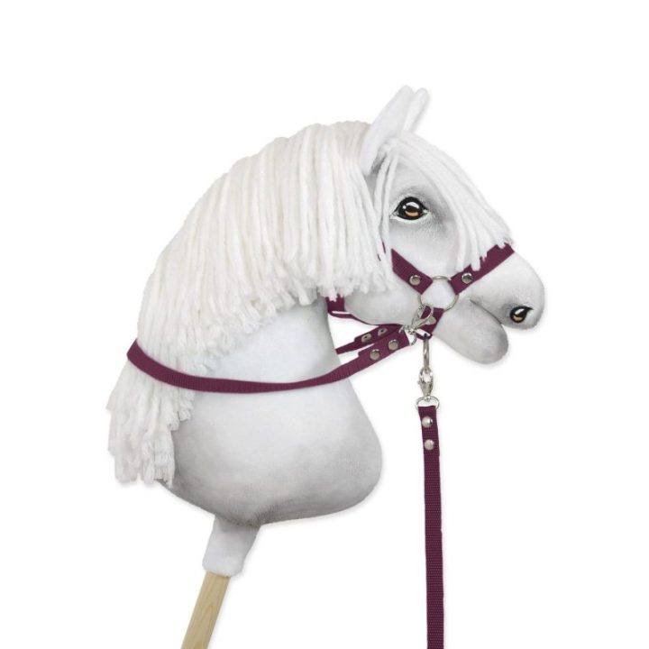 Hobby horse vadeliai apynasriui, slyvų spalvos - Super Hobby Horse