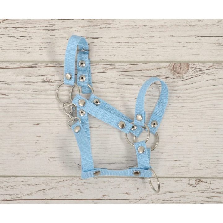 Hobby horse apynasris (kantaras) A3, reguliuojamas, žydras - Super Hobby Horse