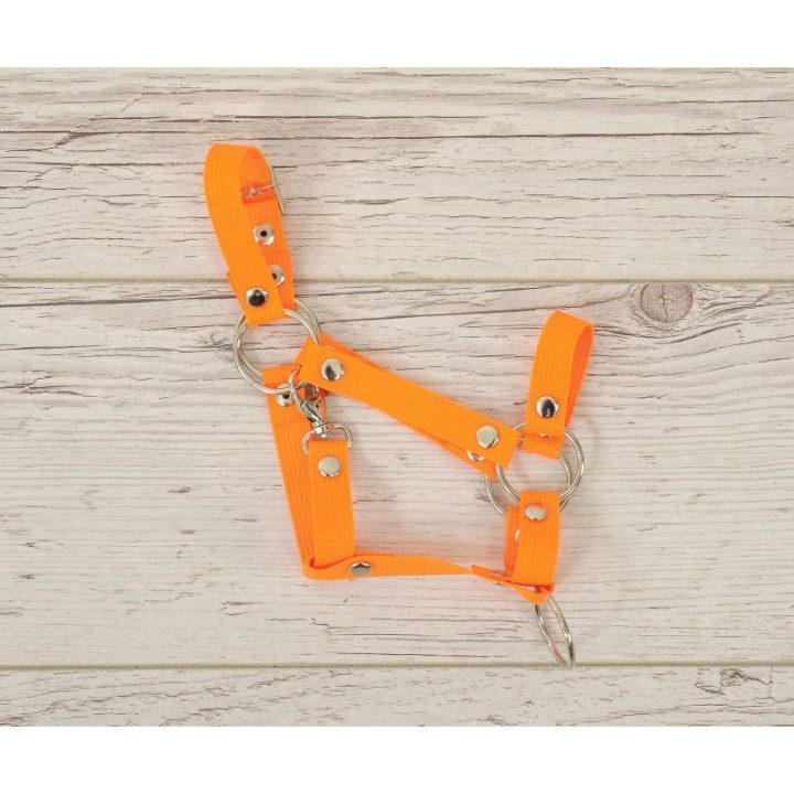 Hobby horse apynasris (kantaras) A3, reguliuojamas, neoninės oranžinės spalvos - Super Hobby Horse