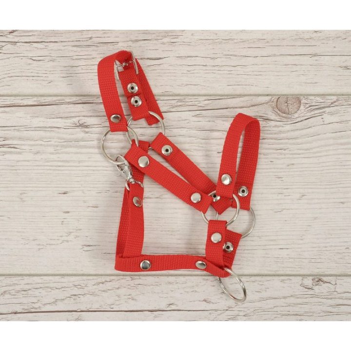 Hobby horse apynasris (kantaras) A3, reguliuojamas, raudonas - Super Hobby Horse