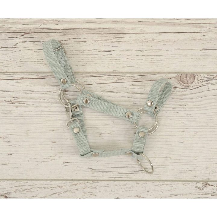 Hobby horse apynasris (kantaras) A3, reguliuojamas, šalavijų žalios spalvos - Super Hobby Horse