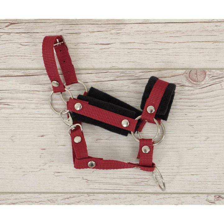Hobby horse apynasris (kantaras) su pavadžiu A3, juodas ir bordo - Super Hobby Horse