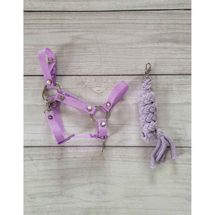 Hobby horse apynasris (kantaras) su pavadžiu, A3, violetinis - Super Hobby Horse
