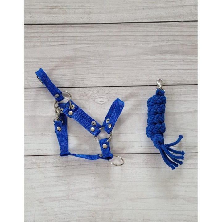Hobby horse apynasris (kantaras) su pavadžiu, A3, mėlynas - Super Hobby Horse