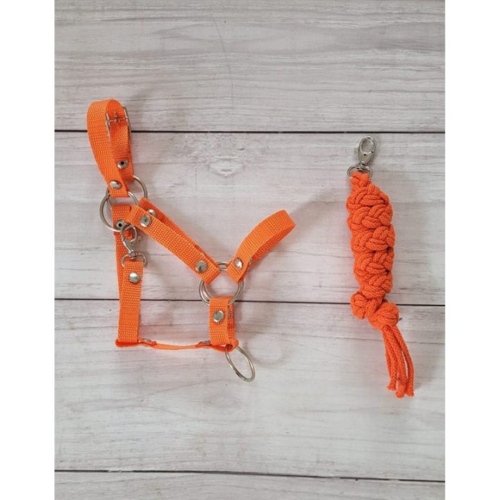 Hobby horse apynasris (kantaras) su pavadžiu, A3, reguliuojamas, oranžinis - Super Hobby Horse